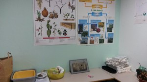 LABORATORIO SCIENZE 5