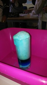 IMG-20151202-WA0029